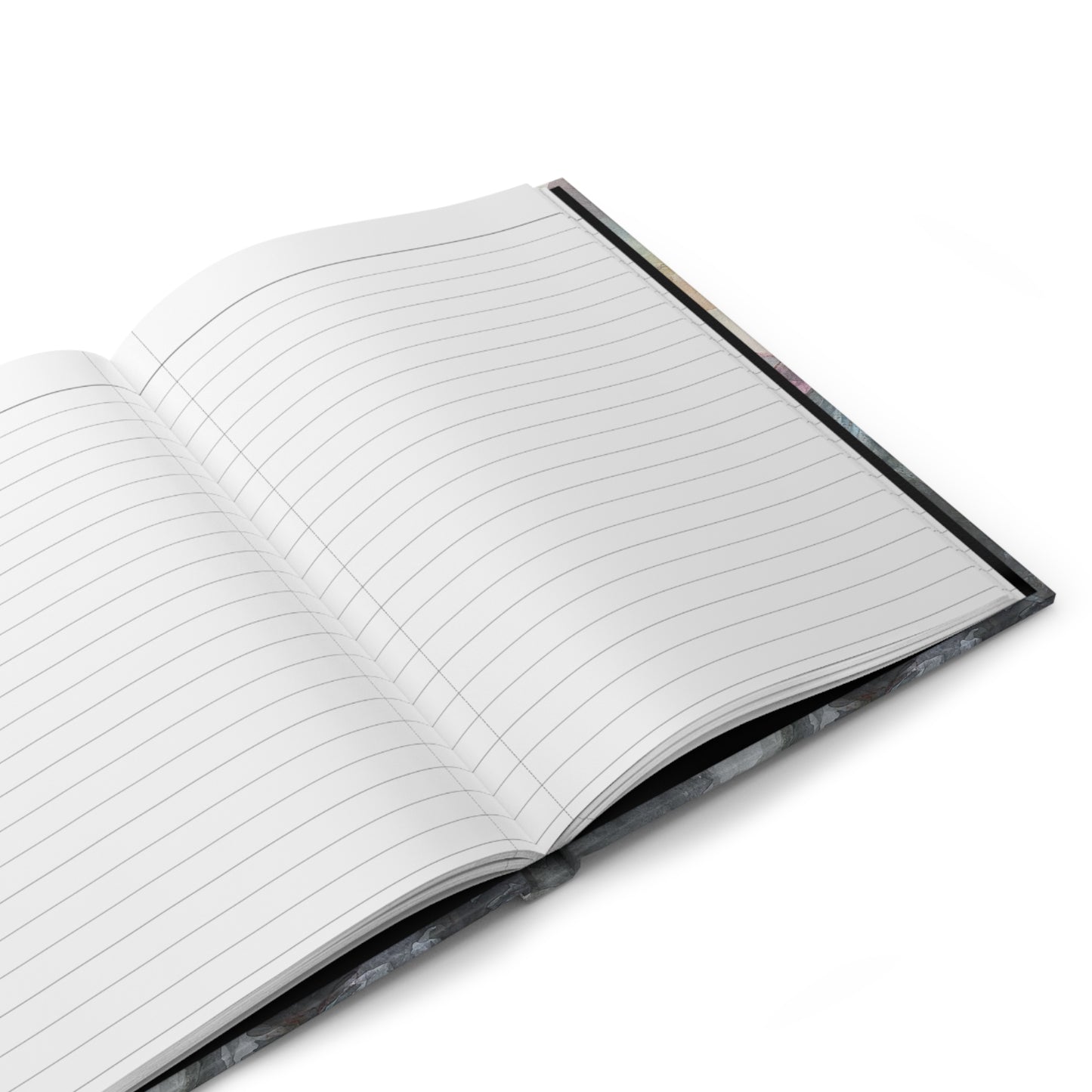 Half Dome Journal