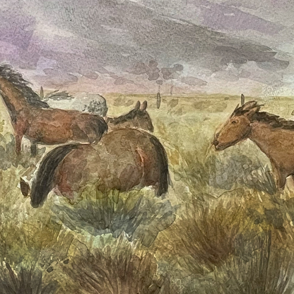 Washoe Valley Wild Horses