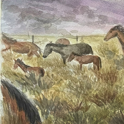 Washoe Valley Wild Horses