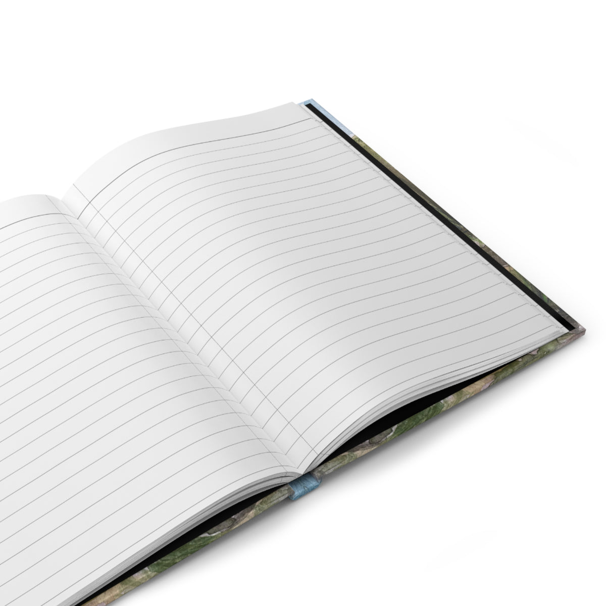 Mayberry Park Journal