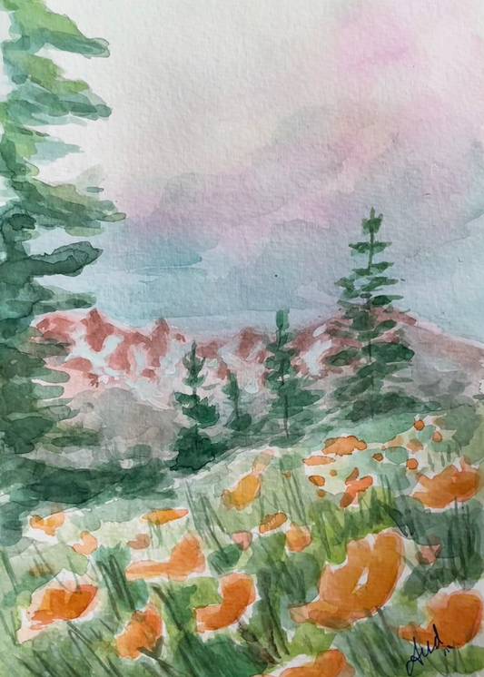 Wildflowers