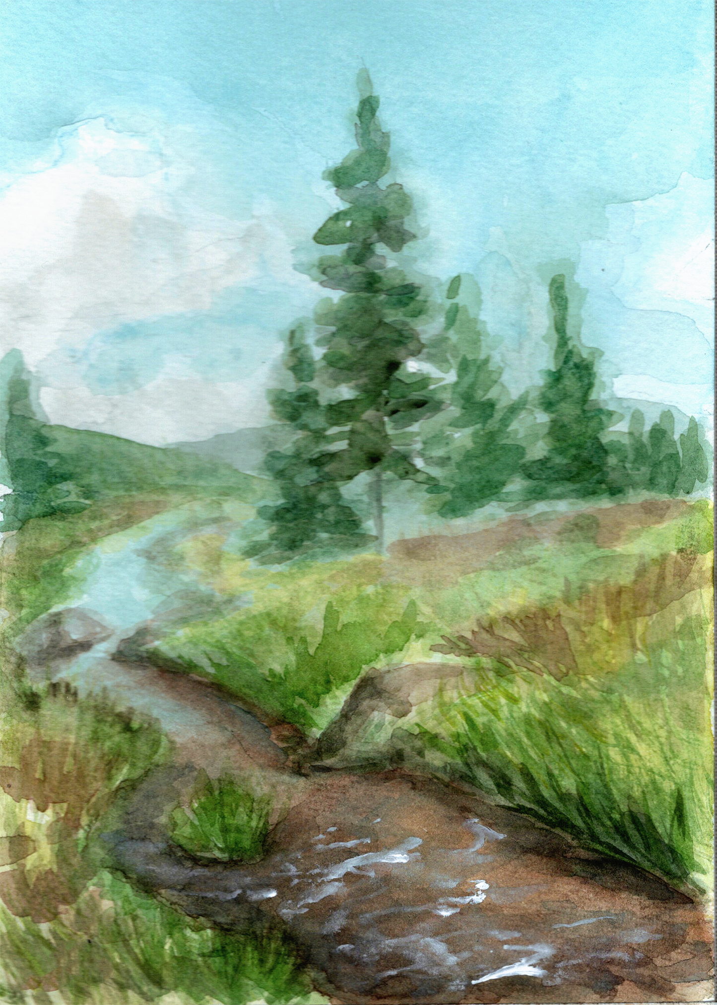 Alpine Stream