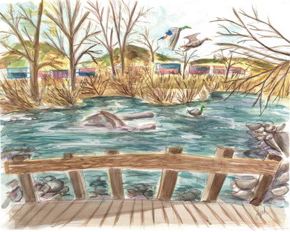 Truckee River