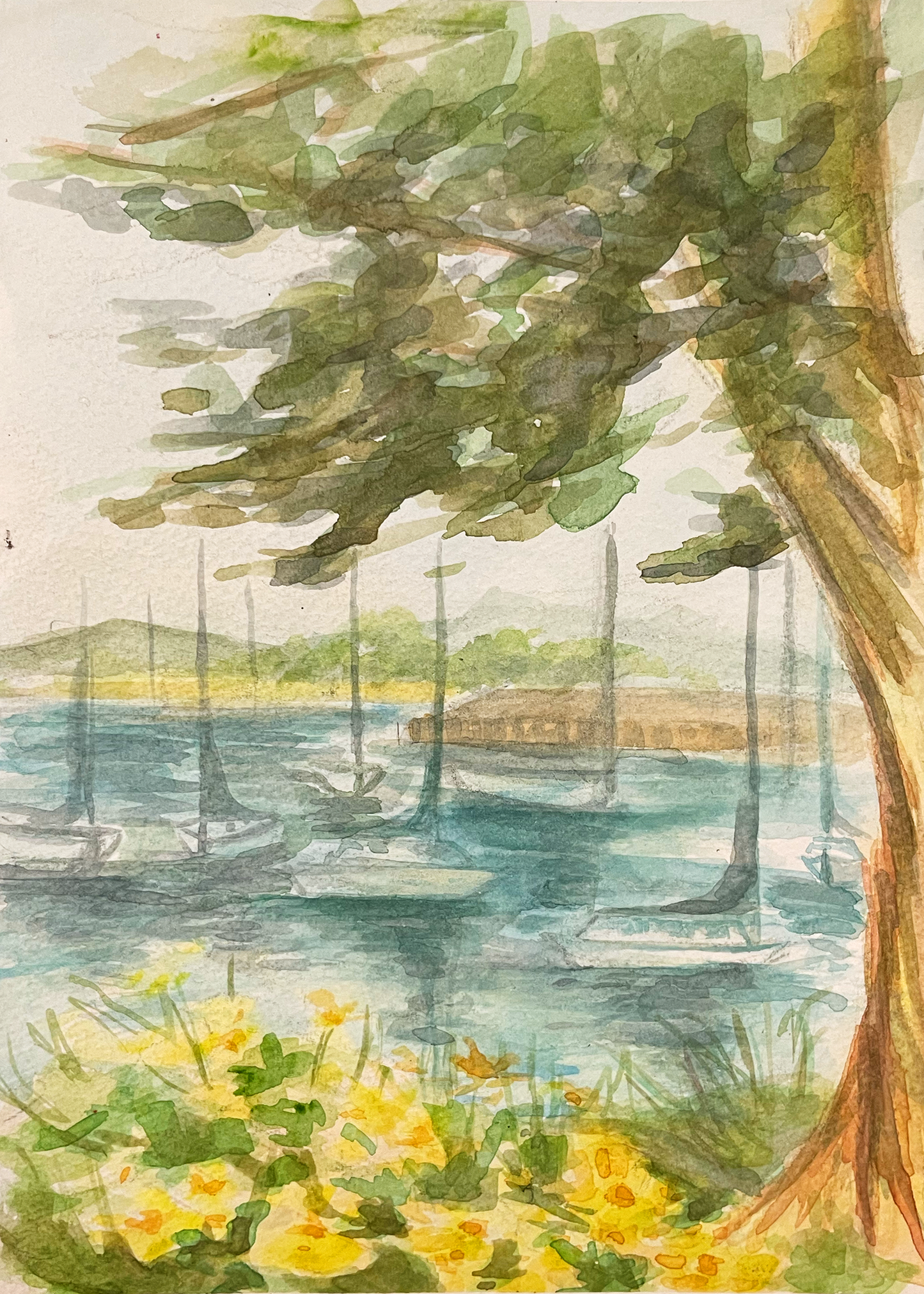 Monterey Sailboats