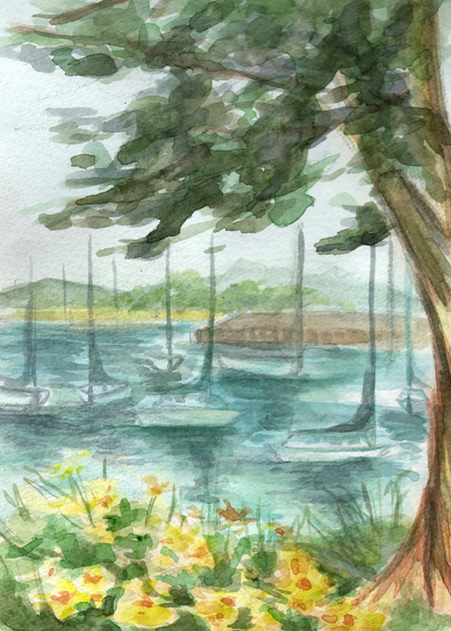 Monterey Sailboats