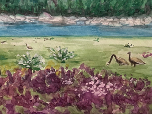 Springtime in Silver Lake