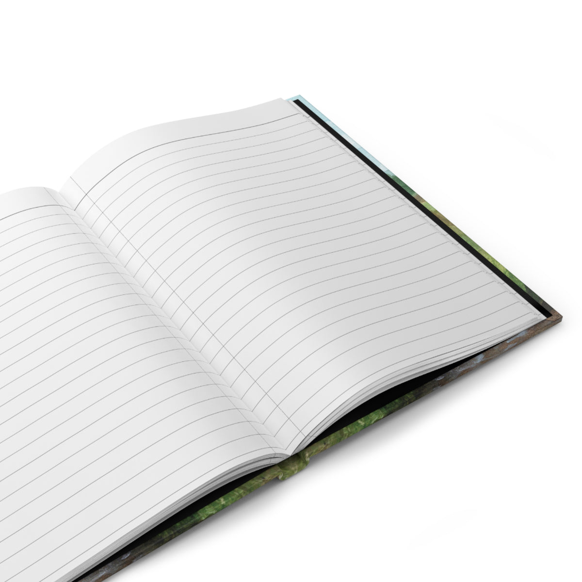 Alpine Stream Journal