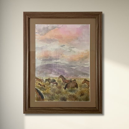Washoe Valley Wild Horses