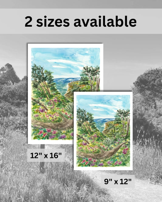 Mendocino Gardens – Print
