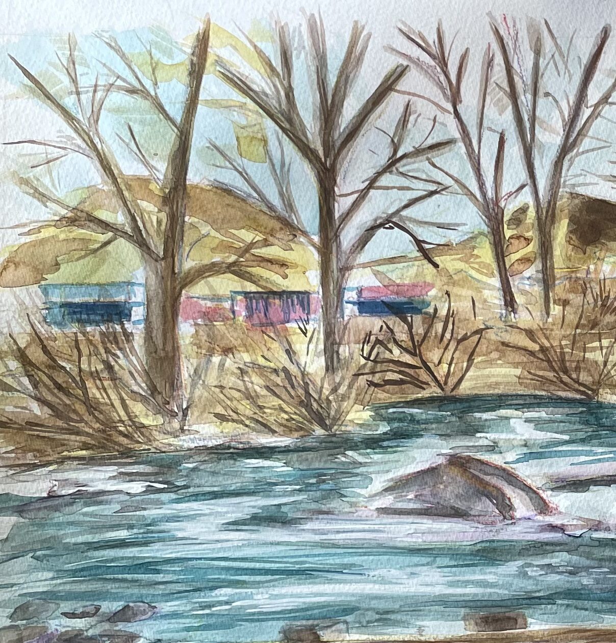 Truckee River - Image 4