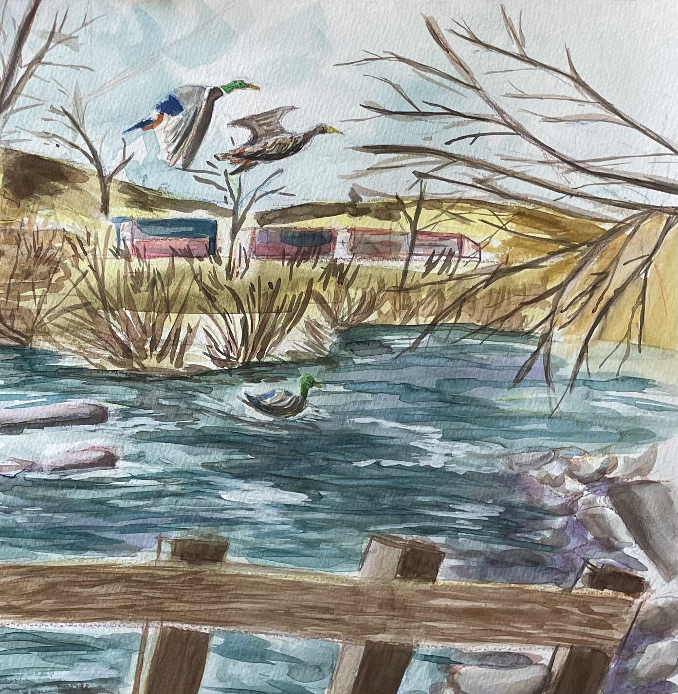 Truckee River - Image 5