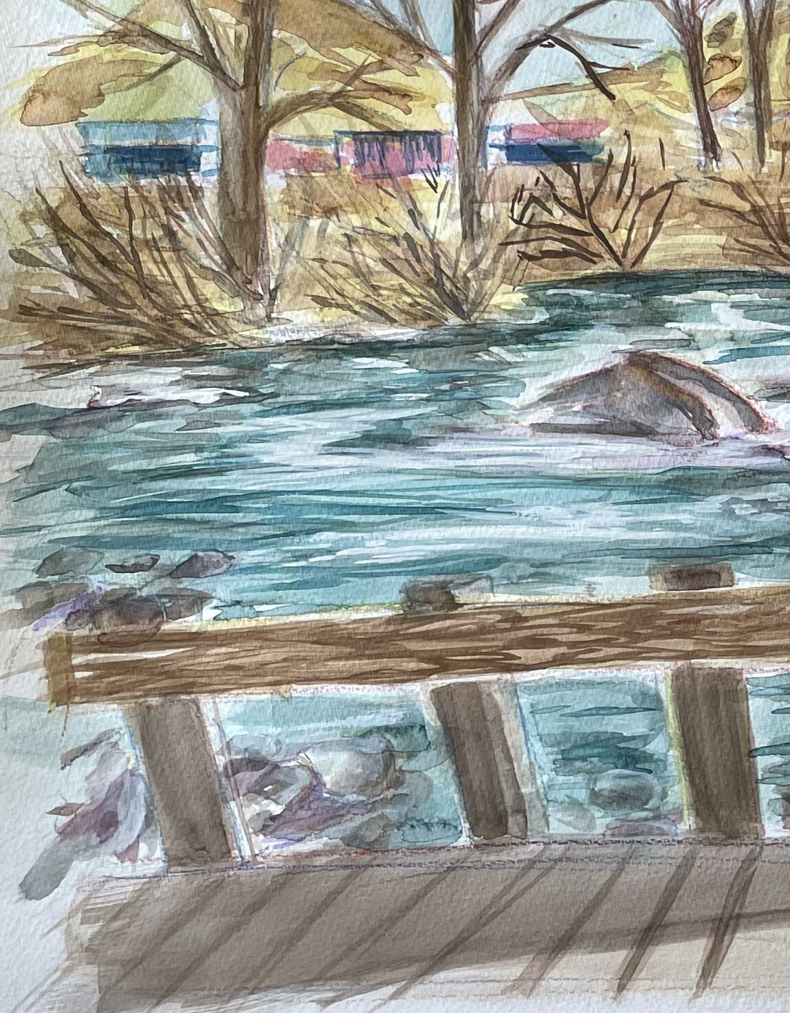 Truckee River - Image 6