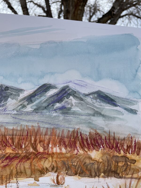 Stillwater Wildlife Reserve - Image 5