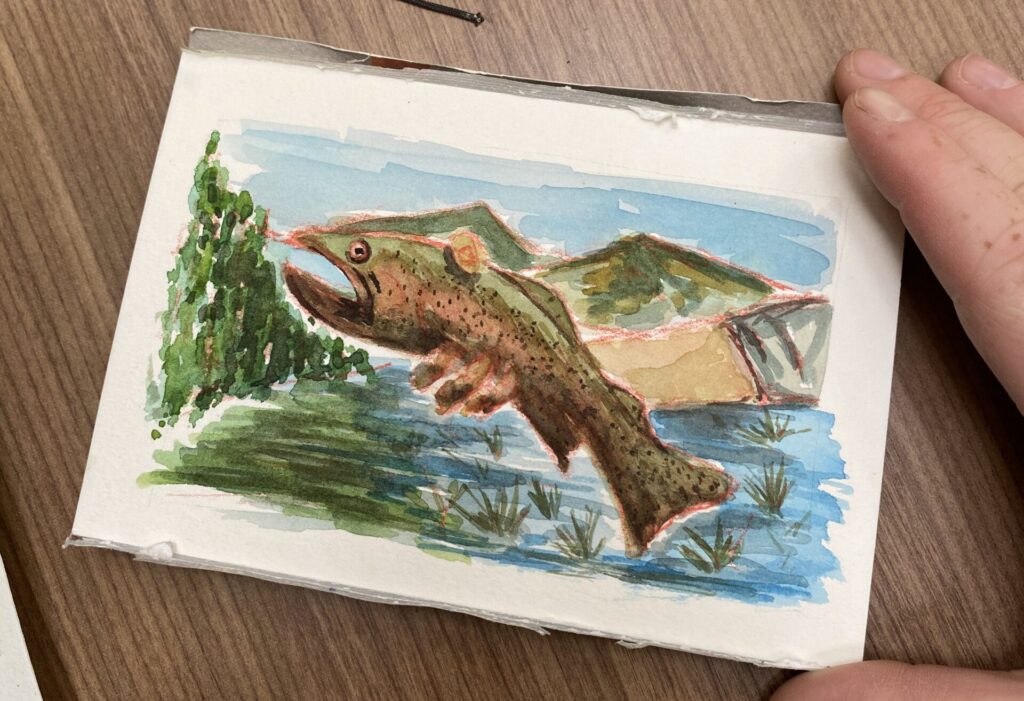 Rainbow Trout