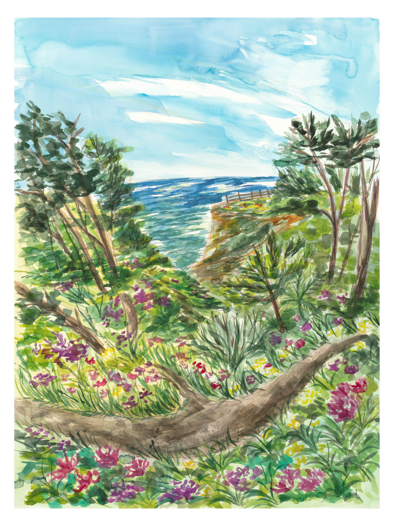 Mendocino Gardens - Print