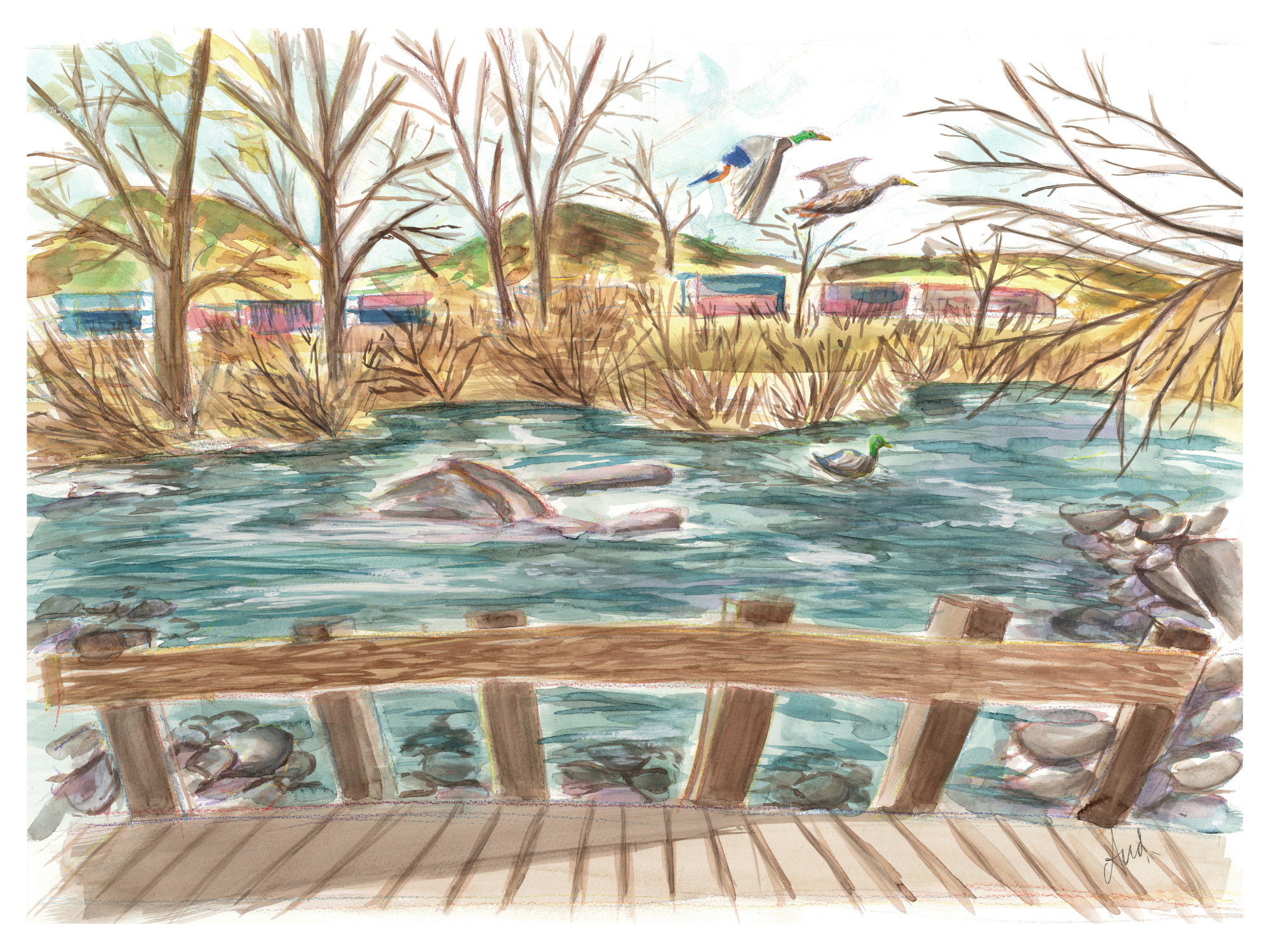 Truckee River - Print