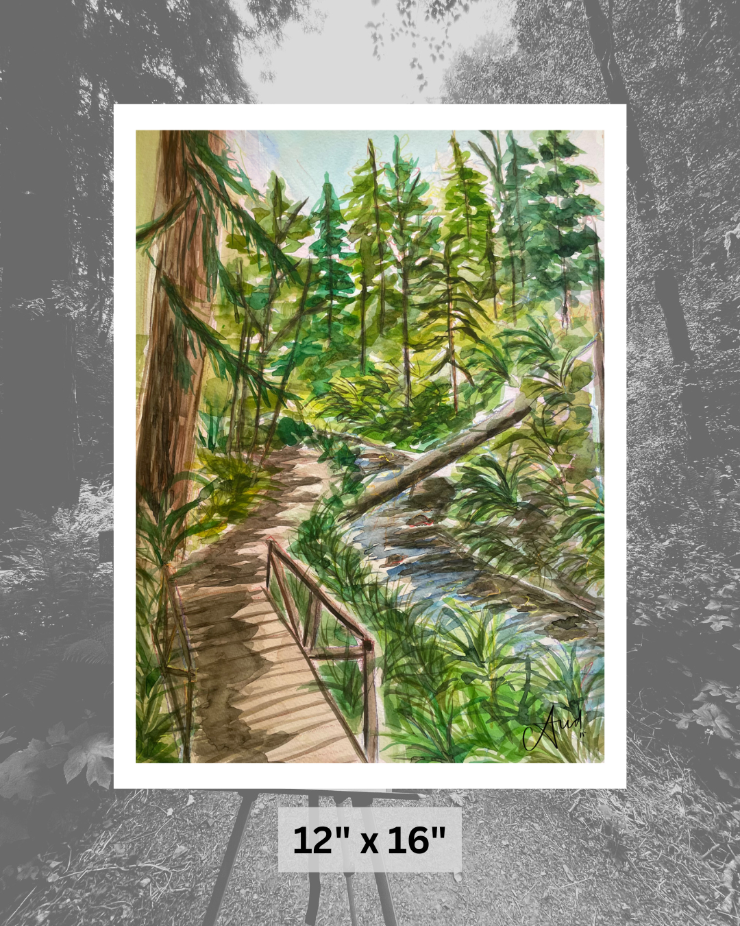 Van Damme State Park - Print - Image 2